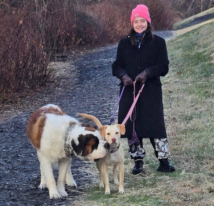 A photograph of a dog, specifically a pit bull, on a walk, standing in a patch of lush green woods.
