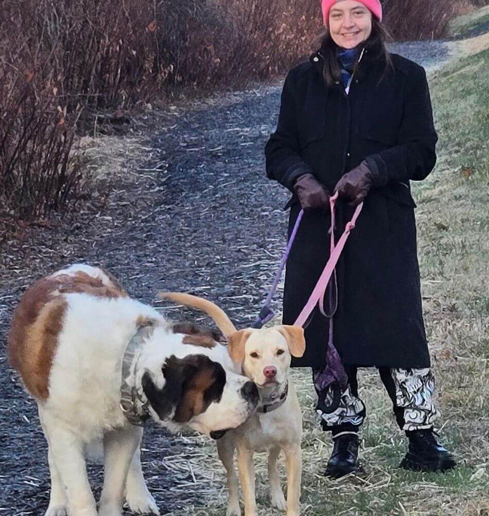 A woman is standing with a St. Bernard and pitt mix on a leash during a walk.