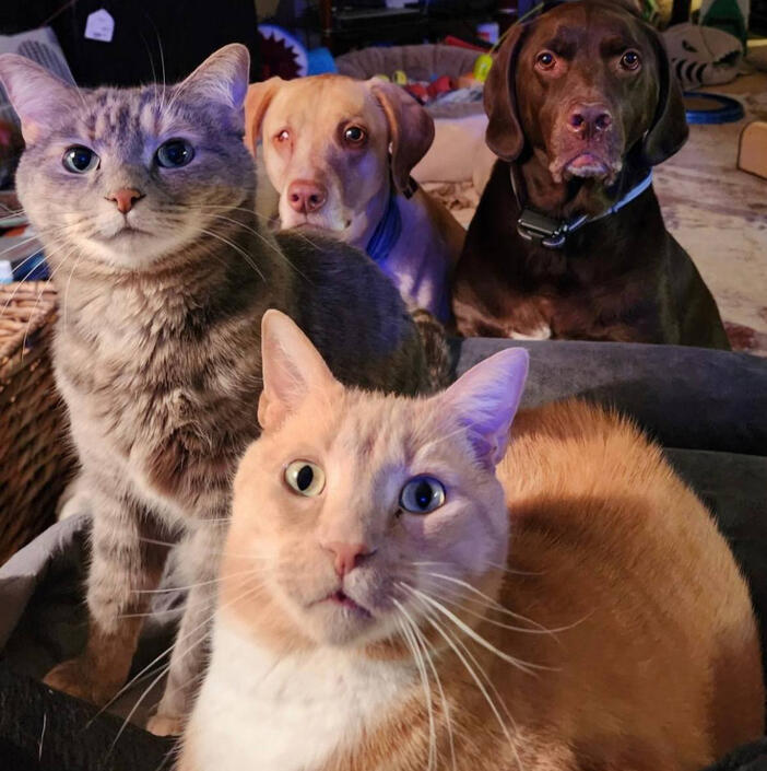 A woman sits with a white golden doodle in her lap and smiles.