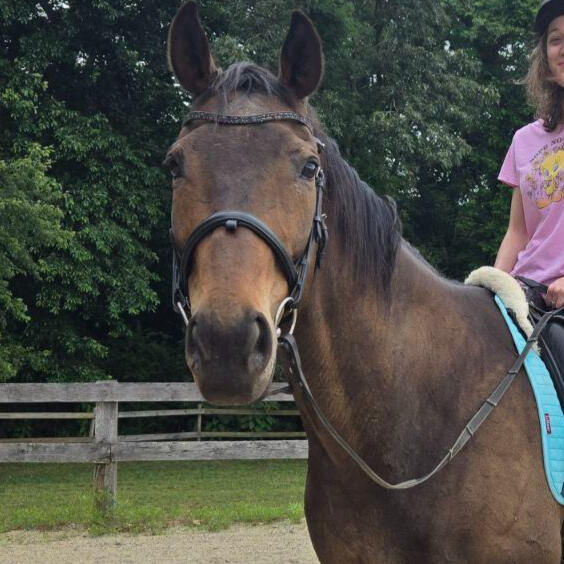 A woman sits with a white golden doodle in her lap and smiles.